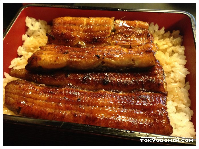 [도쿄맛집/카야바쵸맛집] 우나기(장어), 야키토리 전문점 - 시마토쿠(島徳)