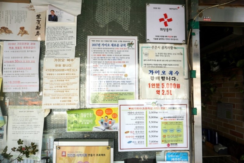 가이오국수 이미지